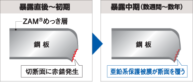 zm-サビ経過画像